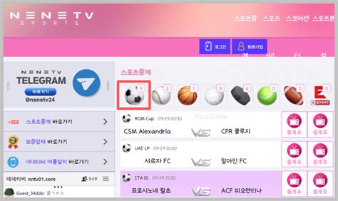 네네티비 스포츠중계 tv